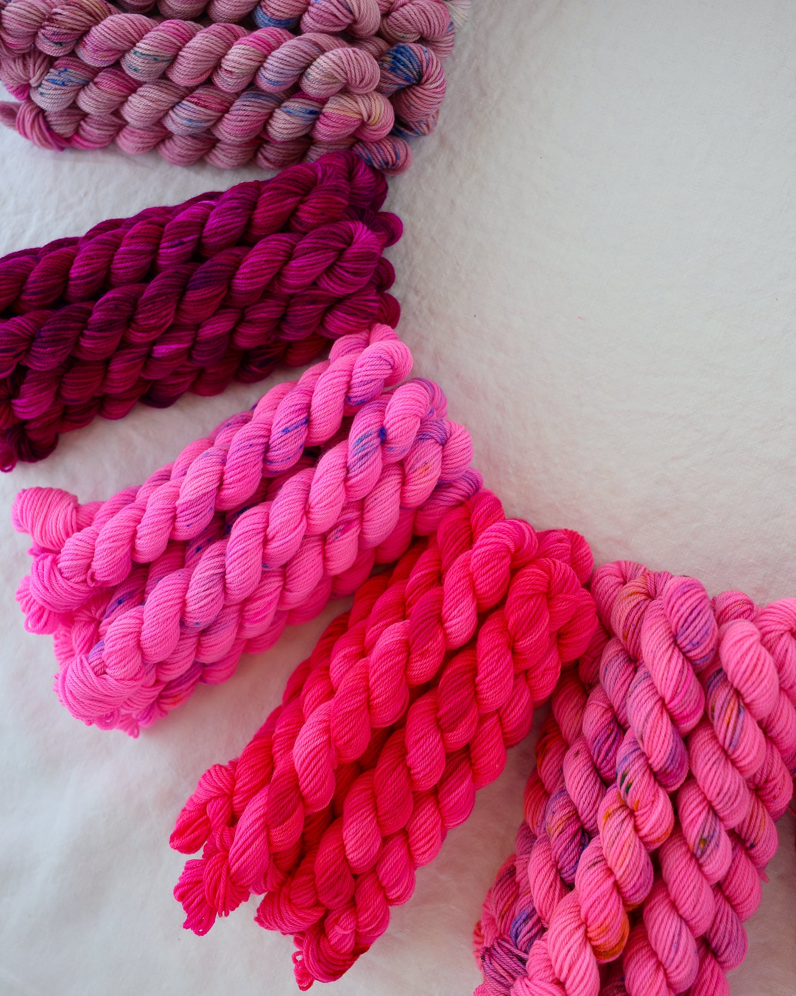 Cerise | Month 2 - COLOR WHEEL CLUB
