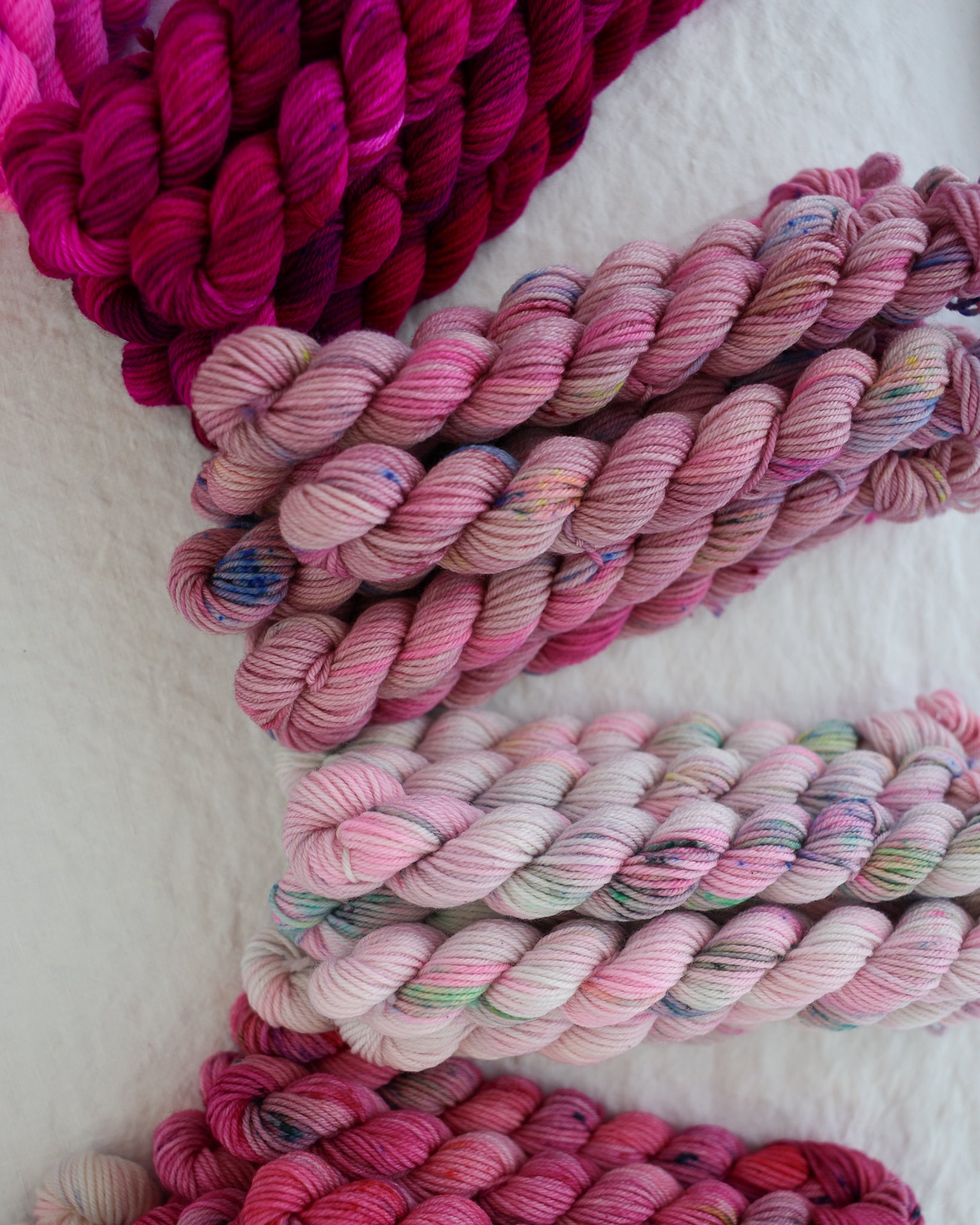 Cerise | Month 2 - COLOR WHEEL CLUB