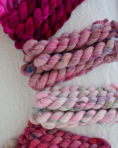 Cerise | Month 2 - COLOR WHEEL CLUB