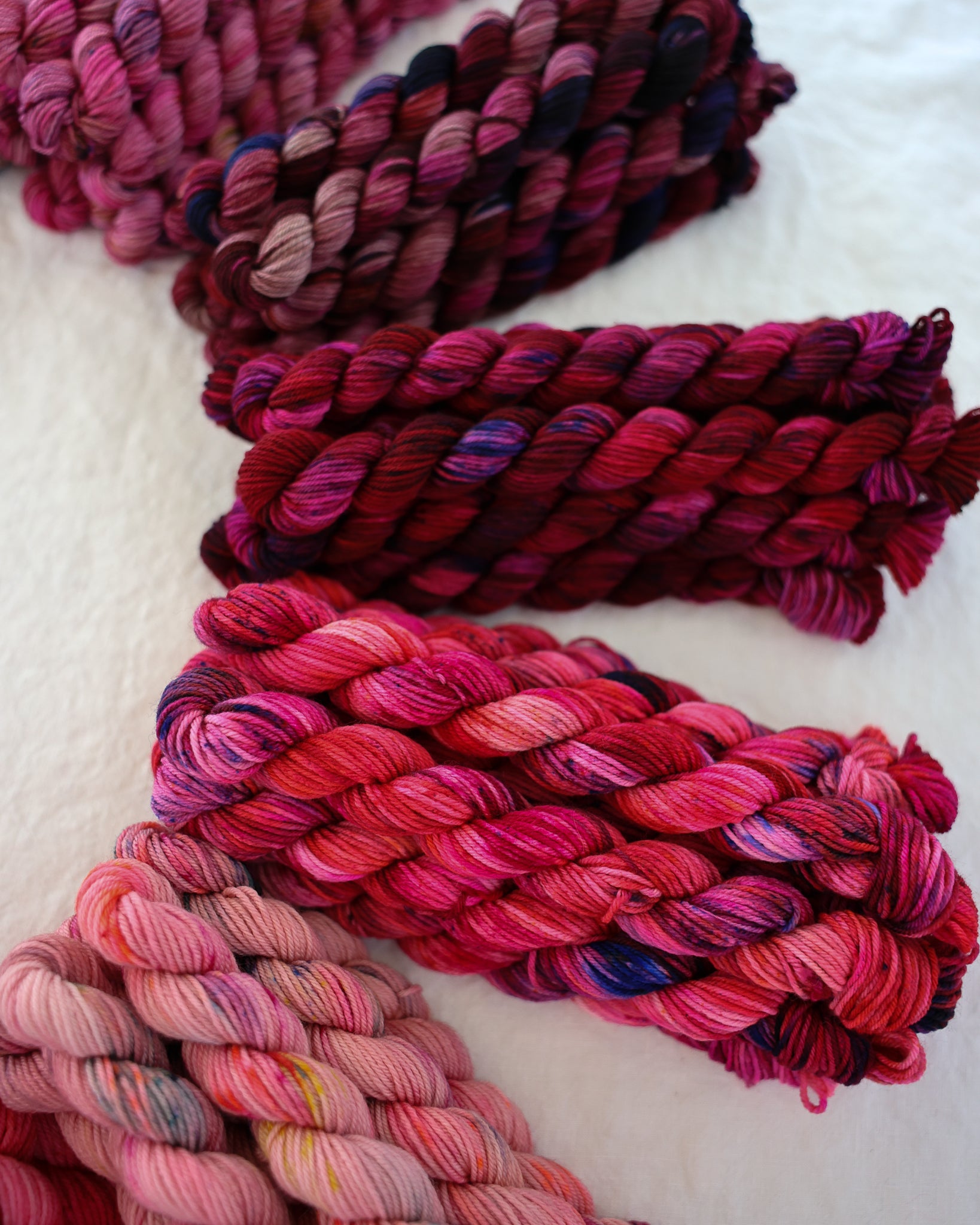 Cerise | Month 2 - COLOR WHEEL CLUB