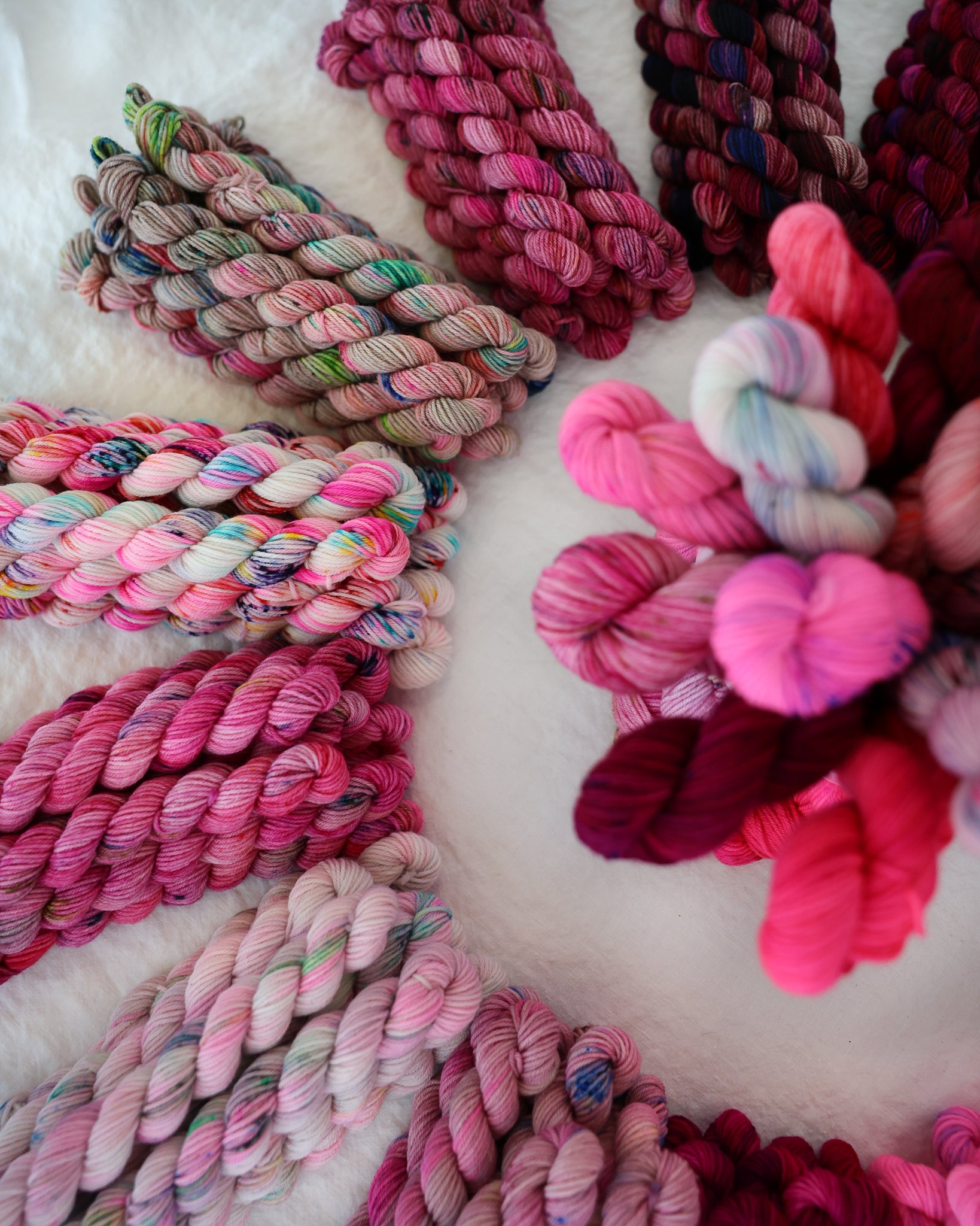 Cerise | Month 2 - COLOR WHEEL CLUB