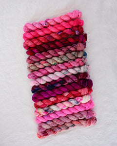 Cerise | Month 2 - COLOR WHEEL CLUB - Ruby and Roses Yarn - Hand Dyed Yarn