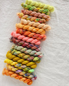 Citrine | Month 5 - COLOR WHEEL CLUB - Ruby and Roses Yarn - Hand Dyed Yarn