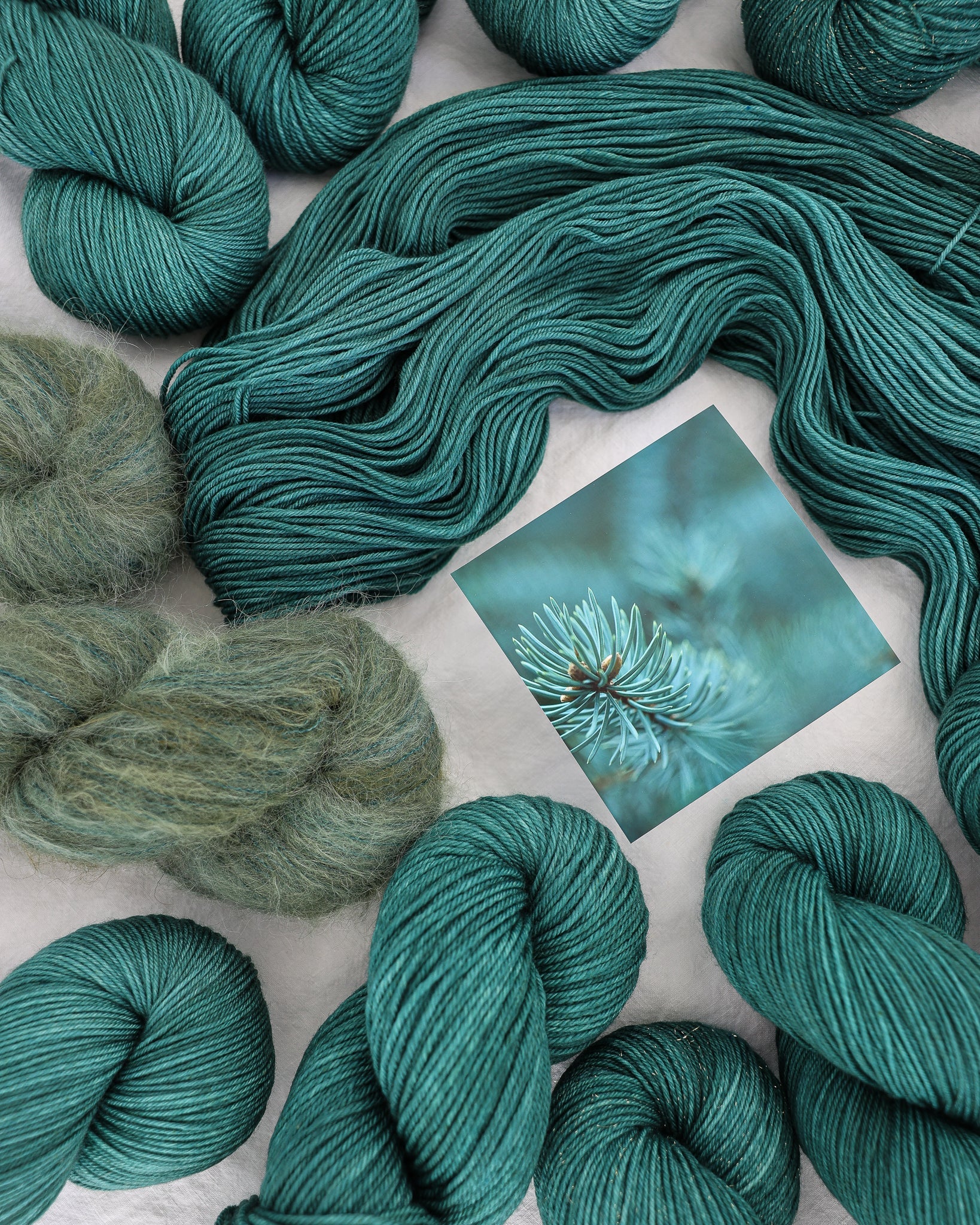 Conifer - Ruby and Roses Yarn - Hand Dyed Yarn