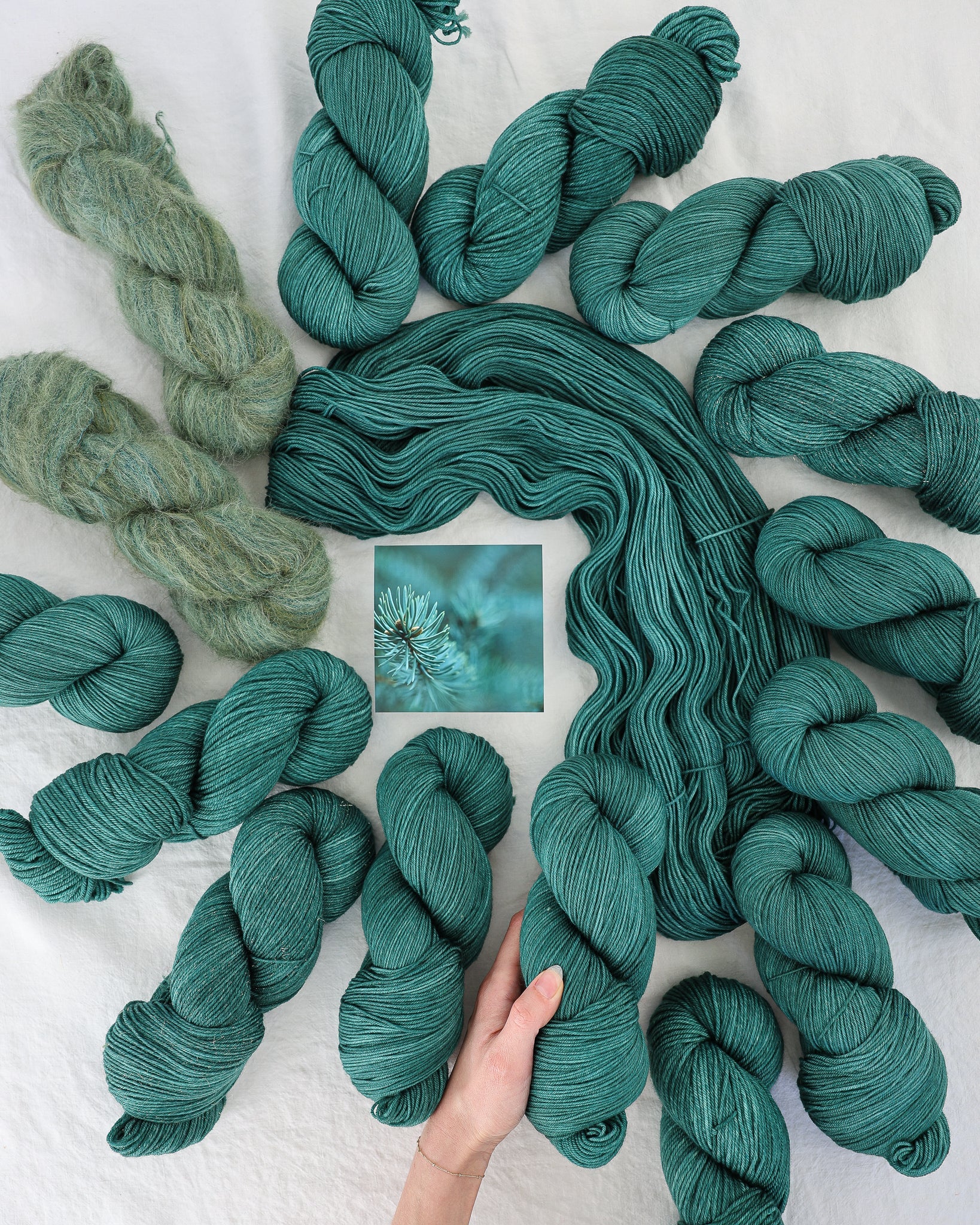 Conifer - Ruby and Roses Yarn - Hand Dyed Yarn