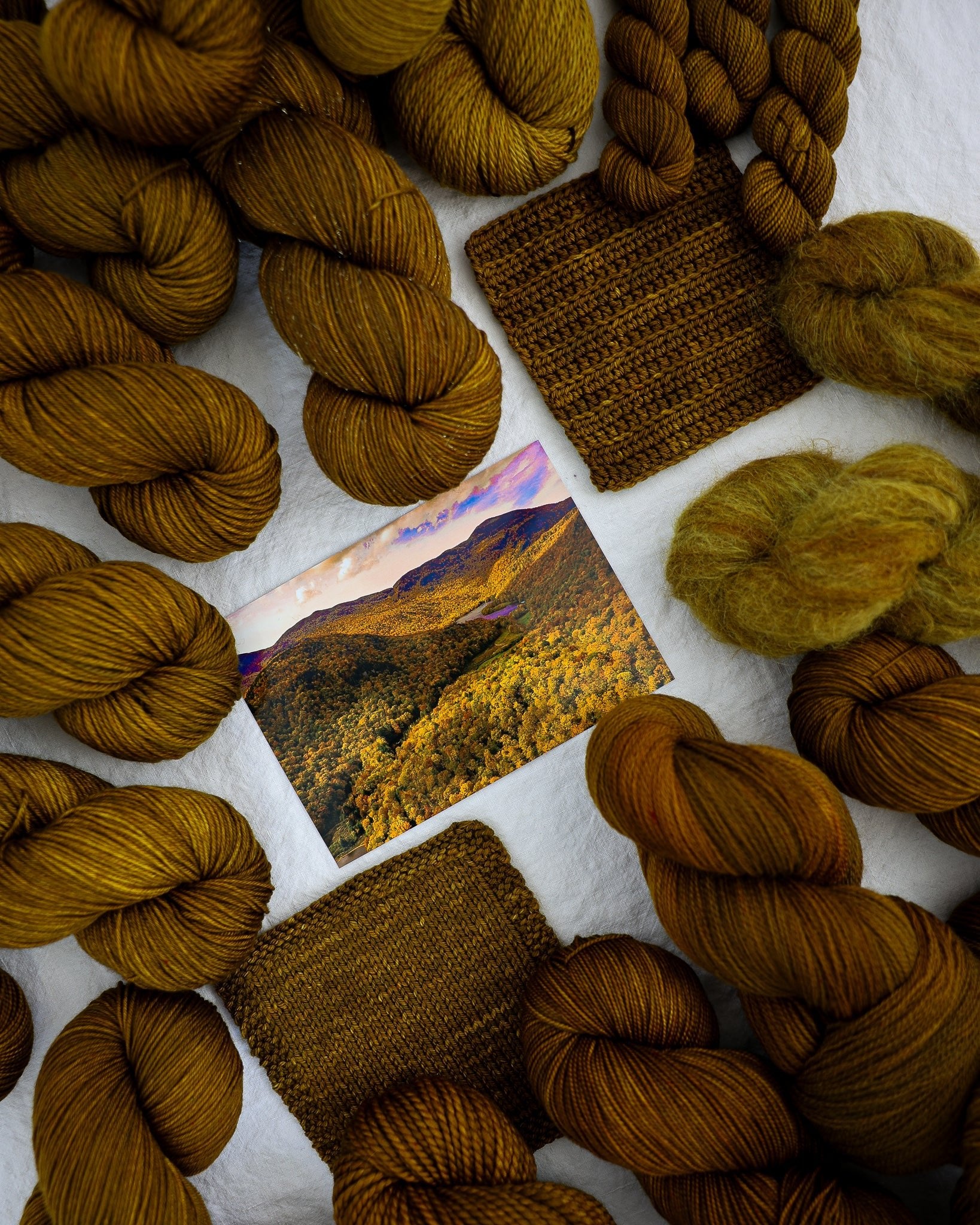 Curve of the Valley - Ruby and Roses Yarn - Hand Dyed Yarn