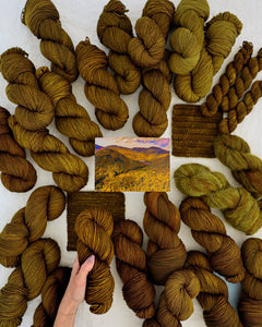 Curve of the Valley - Ruby and Roses Yarn - Hand Dyed Yarn