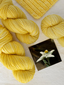 Edelweiss /// Pre - Order - Ruby and Roses Yarn - Hand Dyed Yarn