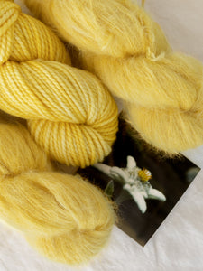 Edelweiss /// Pre - Order - Ruby and Roses Yarn - Hand Dyed Yarn