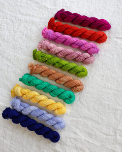 FGW Tonal Minis Sampler - Ruby and Roses Yarn - Hand Dyed Yarn