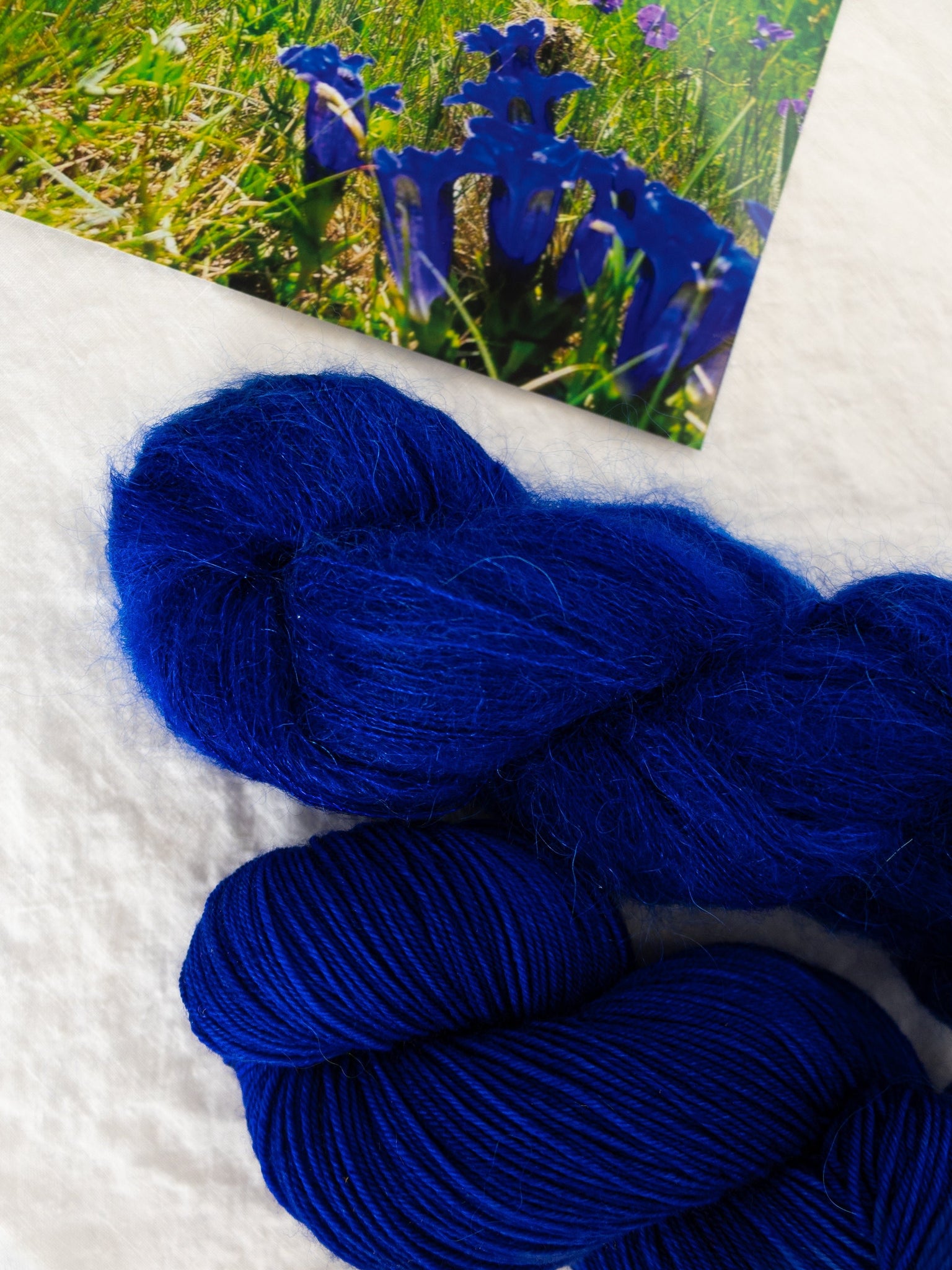 Glowing Indigo /// Pre - Order - Ruby and Roses Yarn - Hand Dyed Yarn