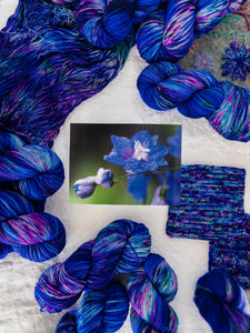 Larkspur /// Pre - Order - Ruby and Roses Yarn - Hand Dyed Yarn