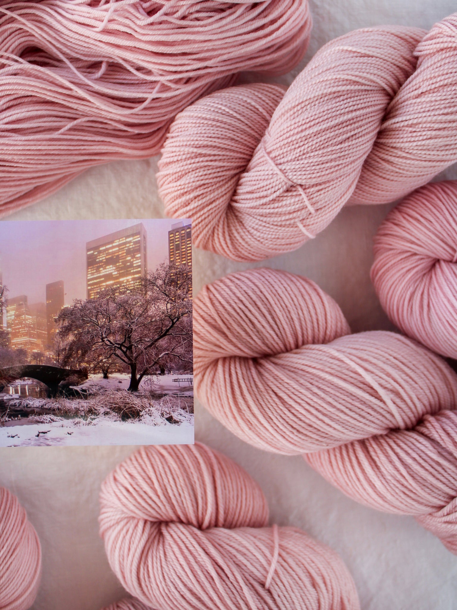 Magic in the Park - Ruby and Roses Yarn - Hand Dyed Yarn