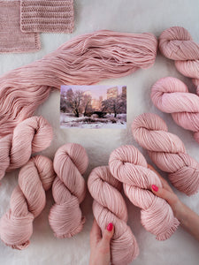 Magic in the Park - Ruby and Roses Yarn - Hand Dyed Yarn