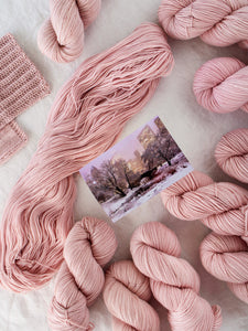 Magic in the Park - Ruby and Roses Yarn - Hand Dyed Yarn