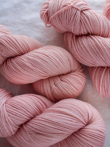 Magic in the Park - Ruby and Roses Yarn - Hand Dyed Yarn