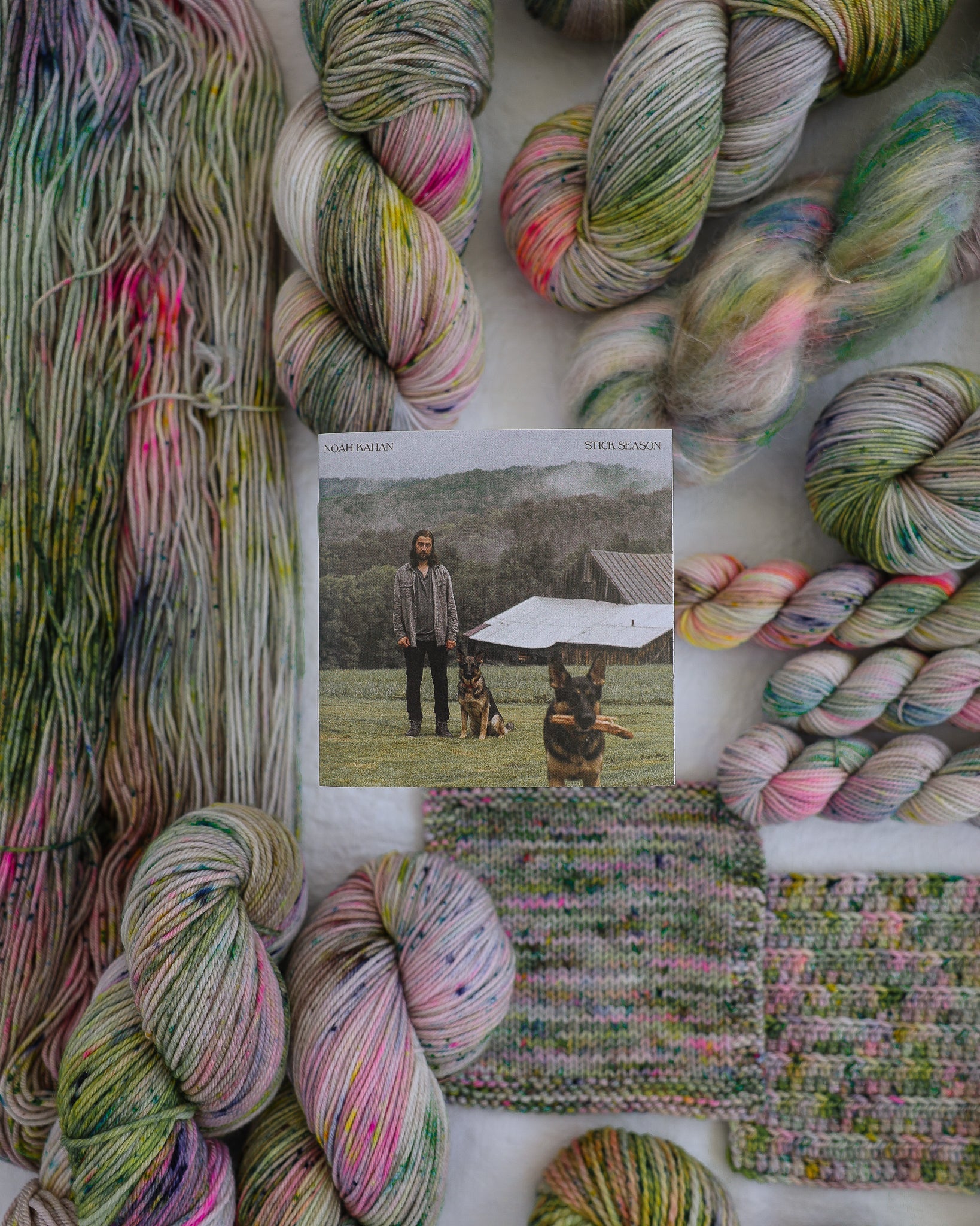 Northern Attitude - Ruby and Roses Yarn - Hand Dyed Yarn