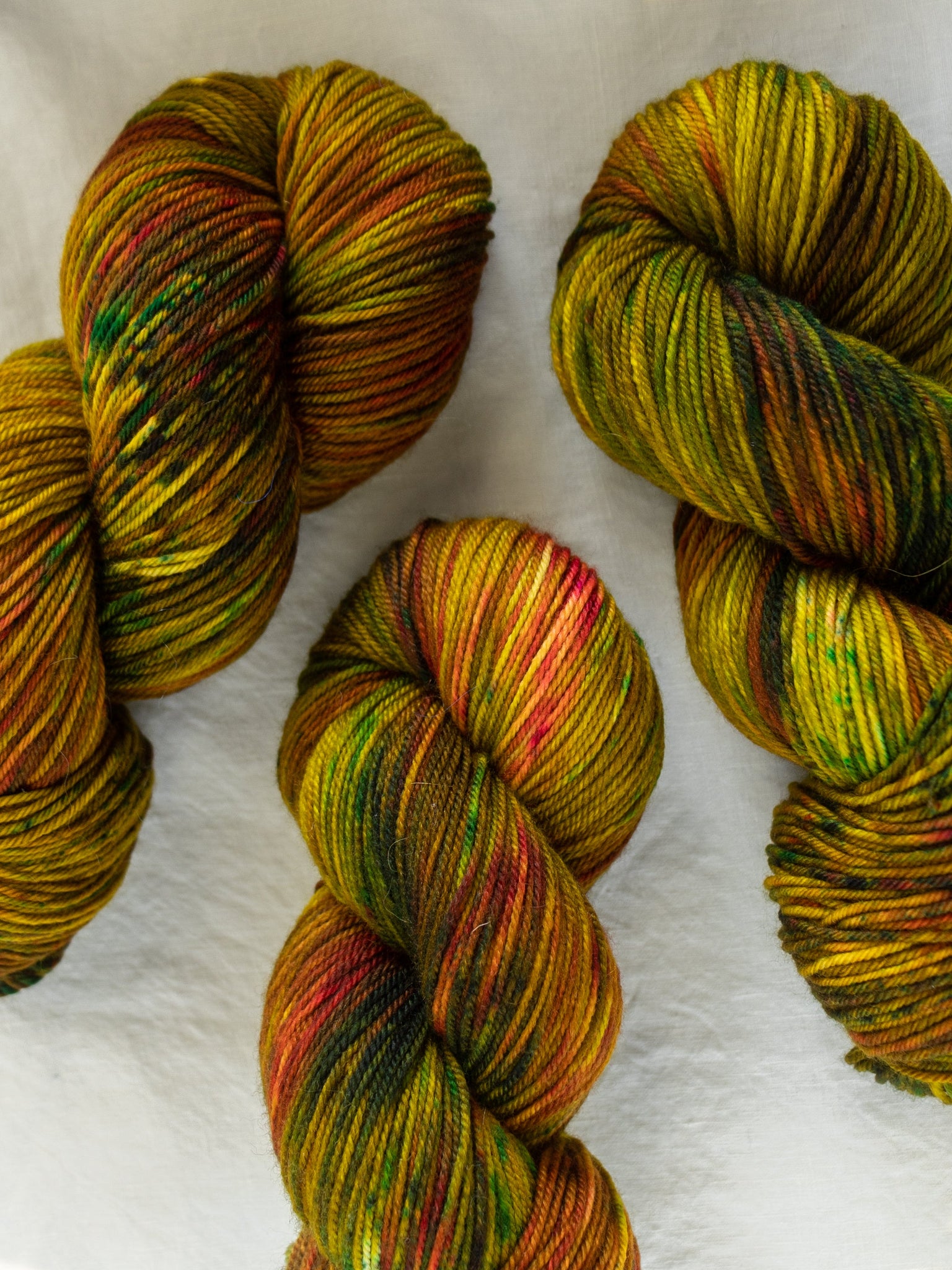 Succulent - Ruby and Roses Yarn - Hand Dyed Yarn