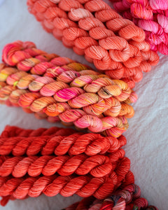 Tangerine | Month 4 - COLOR WHEEL CLUB - Ruby and Roses Yarn - Hand Dyed Yarn