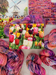 Tulip Fields - Ruby and Roses Yarn - Hand Dyed Yarn